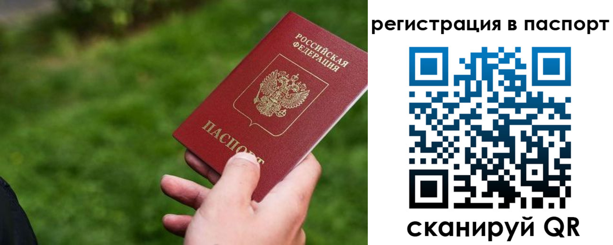 прописка штамп в Долгопрудном